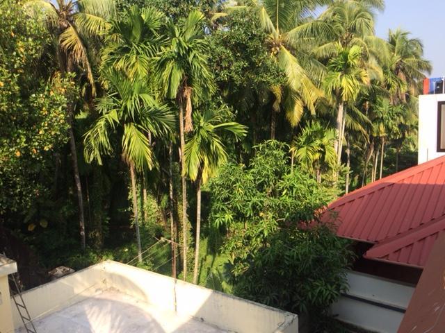 Greenview Homestay Kochi 外观 照片